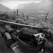 trattore (Positivo) di Foto Elisabeth Fuchs-Hauffen, Überlingen/Bodensee,Fuchs-Hauffen, Elisabeth (1964/10/01 - 1964/10/31)