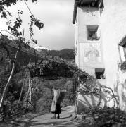 vitigno (Positivo) di Foto Elisabeth Fuchs-Hauffen, Überlingen/Bodensee,Fuchs-Hauffen, Elisabeth (1964/10/01 - 1964/10/31)