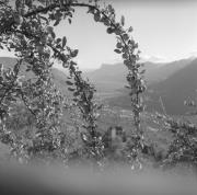 Schloss Tirol (Positivo) di Foto Elisabeth Fuchs-Hauffen, Überlingen/Bodensee,Fuchs-Hauffen, Elisabeth (1964/10/01 - 1964/10/31)