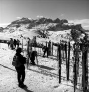 Skifahrer (Positivo) di Foto Elisabeth Fuchs-Hauffen, Überlingen/Bodensee,Fuchs-Hauffen, Elisabeth (1965/02/01 - 1965/02/28)