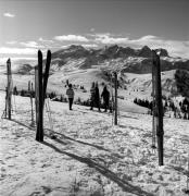 Skifahrer (Positivo) di Foto Elisabeth Fuchs-Hauffen, Überlingen/Bodensee,Fuchs-Hauffen, Elisabeth (1965/02/01 - 1965/02/28)