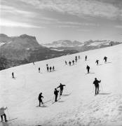 Skifahrer (Positivo) di Foto Elisabeth Fuchs-Hauffen, Überlingen/Bodensee,Fuchs-Hauffen, Elisabeth (1965/02/01 - 1965/02/28)