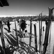 Skifahrer (Positivo) di Foto Elisabeth Fuchs-Hauffen, Überlingen/Bodensee,Fuchs-Hauffen, Elisabeth (1965/02/01 - 1965/02/28)