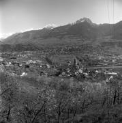 Obstbaum/Obst (Positivo) di Foto Elisabeth Fuchs-Hauffen, Überlingen/Bodensee,Fuchs-Hauffen, Elisabeth (1965/04/01 - 1965/04/43)