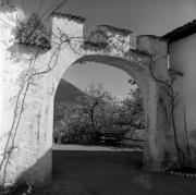 arco della porta (Positivo) di Foto Elisabeth Fuchs-Hauffen, Überlingen/Bodensee,Fuchs-Hauffen, Elisabeth (1965/04/01 - 1965/04/43)