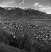 Obstbaum/Obst (Positivo) di Foto Elisabeth Fuchs-Hauffen, Überlingen/Bodensee,Fuchs-Hauffen, Elisabeth (1965/04/01 - 1965/04/43)