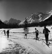 Wintersport, Langläufer (Positivo) di Foto Elisabeth Fuchs-Hauffen, Überlingen/Bodensee,Fuchs-Hauffen, Elisabeth (1980/02/01 - 1980/02/28)