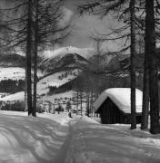 Spaziergänger (Positivo) di Foto Elisabeth Fuchs-Hauffen, Überlingen/Bodensee,Fuchs-Hauffen, Elisabeth (1980/02/01 - 1980/02/28)