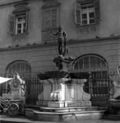 Brunnen in Bozen Neptunsbrunnen Obstmarkt (Positivo) di Foto Elisabeth Fuchs-Hauffen, Überlingen/Bodensee,Fuchs-Hauffen, Elisabeth (1965/09/01 - 1965/09/93)