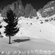 Skifahrer (Positivo) di Foto Elisabeth Fuchs-Hauffen, Überlingen/Bodensee,Fuchs-Hauffen, Elisabeth (1966/02/01 - 1966/02/28)