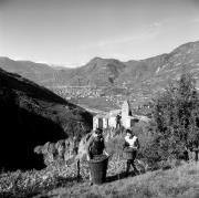 Schloß Karneid (Positivo) di Foto Elisabeth Fuchs-Hauffen, Überlingen/Bodensee,Fuchs-Hauffen, Elisabeth (1966/11/01 - 1966/11/13)