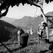 Schloß Karneid (Positivo) di Foto Elisabeth Fuchs-Hauffen, Überlingen/Bodensee,Fuchs-Hauffen, Elisabeth (1966/11/01 - 1966/11/13)