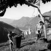 Schloß Karneid (Positivo) di Foto Elisabeth Fuchs-Hauffen, Überlingen/Bodensee,Fuchs-Hauffen, Elisabeth (1966/11/01 - 1966/11/13)