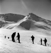 Skipisten (Positivo) di Foto Elisabeth Fuchs-Hauffen, Überlingen/Bodensee,Fuchs-Hauffen, Elisabeth (1970/03/01 - 1970/03/31)