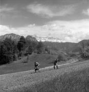 campo (Positivo) di Foto Elisabeth Fuchs-Hauffen, Überlingen/Bodensee,Fuchs-Hauffen, Elisabeth (1970/07/01 - 1970/07/31)