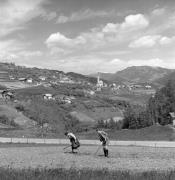 campo (Positivo) di Foto Elisabeth Fuchs-Hauffen, Überlingen/Bodensee,Fuchs-Hauffen, Elisabeth (1970/07/01 - 1970/07/31)