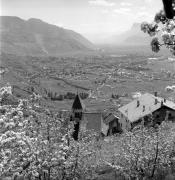 Obstbaum/Obst (Positivo) di Foto Elisabeth Fuchs-Hauffen, Überlingen/Bodensee,Fuchs-Hauffen, Elisabeth (1970/05/01 - 1970/05/31)