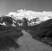 Wanderer/Ausflügler (Positivo) di Foto Elisabeth Fuchs-Hauffen, Überlingen/Bodensee,Fuchs-Hauffen, Elisabeth (1978/07/01 - 1978/07/31)