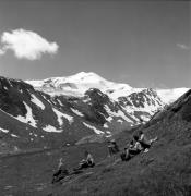 Wanderer/Ausflügler (Positivo) di Foto Elisabeth Fuchs-Hauffen, Überlingen/Bodensee,Fuchs-Hauffen, Elisabeth (1978/07/01 - 1978/07/31)