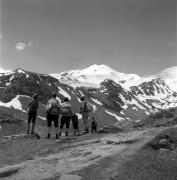 Wanderer/Ausflügler (Positivo) di Foto Elisabeth Fuchs-Hauffen, Überlingen/Bodensee,Fuchs-Hauffen, Elisabeth (1978/07/01 - 1978/07/31)