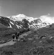 Wanderer/Ausflügler (Positivo) di Foto Elisabeth Fuchs-Hauffen, Überlingen/Bodensee,Fuchs-Hauffen, Elisabeth (1978/07/01 - 1978/07/31)