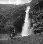 bosco (Positivo) di Foto Elisabeth Fuchs-Hauffen, Überlingen/Bodensee,Fuchs-Hauffen, Elisabeth (1978/07/01 - 1978/07/31)
