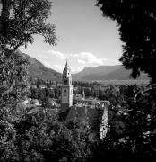 Gotik (Positivo) di Foto Elisabeth Fuchs-Hauffen, Überlingen/Bodensee,Fuchs-Hauffen, Elisabeth (1978/06/01 - 1978/06/63)