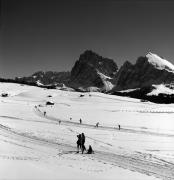 Langläufer (Positivo) di Foto Elisabeth Fuchs-Hauffen, Überlingen/Bodensee,Fuchs-Hauffen, Elisabeth (1979/02/01 - 1979/02/28)