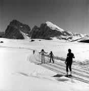 Langläufer (Positivo) di Foto Elisabeth Fuchs-Hauffen, Überlingen/Bodensee,Fuchs-Hauffen, Elisabeth (1979/02/01 - 1979/02/28)