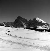 Langläufer (Positivo) di Foto Elisabeth Fuchs-Hauffen, Überlingen/Bodensee,Fuchs-Hauffen, Elisabeth (1979/02/01 - 1979/02/28)