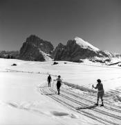 Langläufer (Positivo) di Foto Elisabeth Fuchs-Hauffen, Überlingen/Bodensee,Fuchs-Hauffen, Elisabeth (1979/02/01 - 1979/02/28)