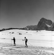 Langläufer (Positivo) di Foto Elisabeth Fuchs-Hauffen, Überlingen/Bodensee,Fuchs-Hauffen, Elisabeth (1979/02/01 - 1979/02/28)