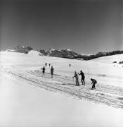 Langläufer (Positivo) di Foto Elisabeth Fuchs-Hauffen, Überlingen/Bodensee,Fuchs-Hauffen, Elisabeth (1979/02/01 - 1979/02/28)