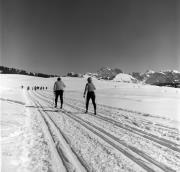 Langläufer (Positivo) di Foto Elisabeth Fuchs-Hauffen, Überlingen/Bodensee,Fuchs-Hauffen, Elisabeth (1979/02/01 - 1979/02/28)