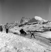 Reitsport auf der Seiseralm (Positivo) di Foto Elisabeth Fuchs-Hauffen, Überlingen/Bodensee,Fuchs-Hauffen, Elisabeth (1979/02/01 - 1979/02/28)