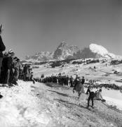 Reitsport auf der Seiseralm (Positivo) di Foto Elisabeth Fuchs-Hauffen, Überlingen/Bodensee,Fuchs-Hauffen, Elisabeth (1979/02/01 - 1979/02/28)