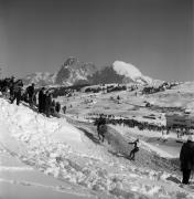 Reitsport auf der Seiseralm (Positivo) di Foto Elisabeth Fuchs-Hauffen, Überlingen/Bodensee,Fuchs-Hauffen, Elisabeth (1979/02/01 - 1979/02/28)