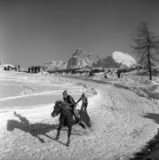 Reitsport auf der Seiseralm (Positivo) di Foto Elisabeth Fuchs-Hauffen, Überlingen/Bodensee,Fuchs-Hauffen, Elisabeth (1979/02/01 - 1979/02/28)