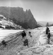 Reitsport auf der Seiseralm (Positivo) di Foto Elisabeth Fuchs-Hauffen, Überlingen/Bodensee,Fuchs-Hauffen, Elisabeth (1979/02/01 - 1979/02/28)