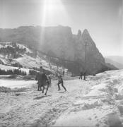 Reitsport auf der Seiseralm (Positivo) di Foto Elisabeth Fuchs-Hauffen, Überlingen/Bodensee,Fuchs-Hauffen, Elisabeth (1979/02/01 - 1979/02/28)