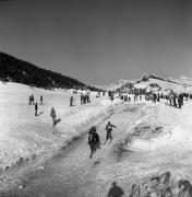 Reitsport auf der Seiseralm (Positivo) di Foto Elisabeth Fuchs-Hauffen, Überlingen/Bodensee,Fuchs-Hauffen, Elisabeth (1979/02/01 - 1979/02/28)