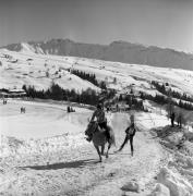 Reitsport auf der Seiseralm (Positivo) di Foto Elisabeth Fuchs-Hauffen, Überlingen/Bodensee,Fuchs-Hauffen, Elisabeth (1979/02/01 - 1979/02/28)