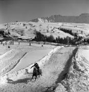 Reitsport auf der Seiseralm (Positivo) di Foto Elisabeth Fuchs-Hauffen, Überlingen/Bodensee,Fuchs-Hauffen, Elisabeth (1979/02/01 - 1979/02/28)