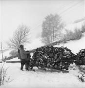 Pferdeschlitten (Positivo) di Foto Elisabeth Fuchs-Hauffen, Überlingen/Bodensee,Fuchs-Hauffen, Elisabeth (1968/03/01 - 1968/03/31)