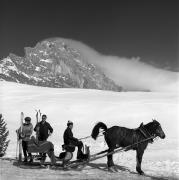 Skifahrer (Positivo) di Foto Elisabeth Fuchs-Hauffen, Überlingen/Bodensee,Fuchs-Hauffen, Elisabeth (1968/03/01 - 1968/03/31)