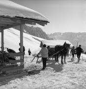 Skifahrer (Positivo) di Foto Elisabeth Fuchs-Hauffen, Überlingen/Bodensee,Fuchs-Hauffen, Elisabeth (1968/03/01 - 1968/03/31)