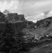 bosco (Positivo) di Foto Elisabeth Fuchs-Hauffen, Überlingen/Bodensee,Fuchs-Hauffen, Elisabeth (1970/07/01 - 1970/07/31)