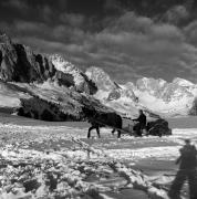 Pferdeschlitten (Positivo) di Foto Elisabeth Fuchs-Hauffen, Überlingen/Bodensee,Fuchs-Hauffen, Elisabeth (1968/03/01 - 1968/03/31)