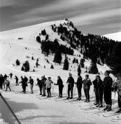 Skifahrer (Positivo) di Foto Elisabeth Fuchs-Hauffen, Überlingen/Bodensee,Fuchs-Hauffen, Elisabeth (1968/03/01 - 1968/03/31)
