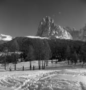 Skifahrer (Positivo) di Foto Elisabeth Fuchs-Hauffen, Überlingen/Bodensee,Fuchs-Hauffen, Elisabeth (1968/03/01 - 1968/03/31)